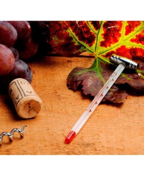 Set para vino Merlot.
