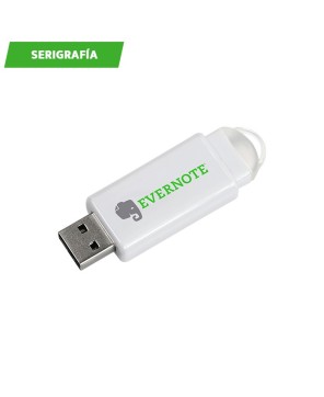 Memoria USB 8 GB.