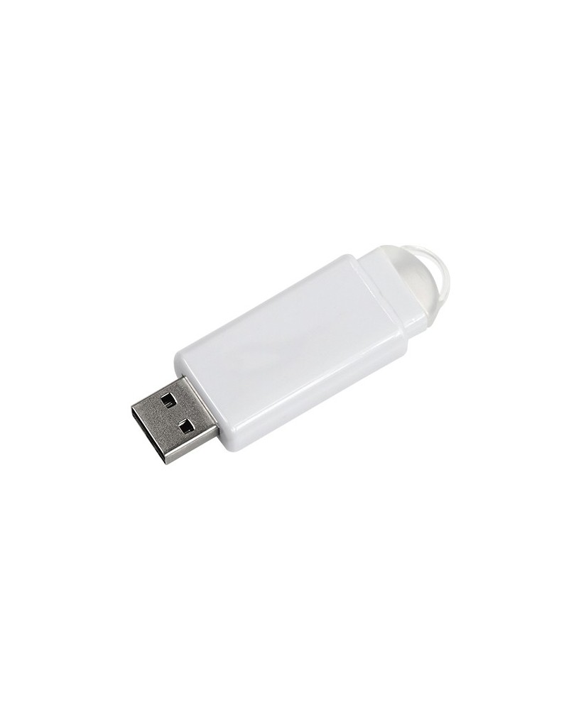 Memoria USB 8 GB.